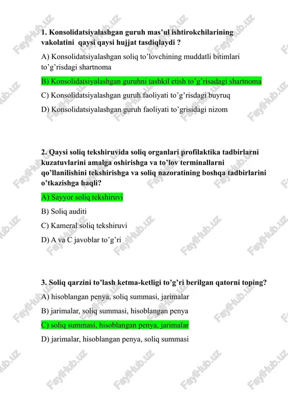 soliq audit — DOCX