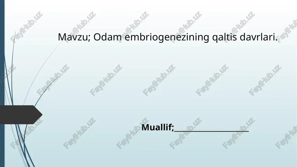 odamb embriogenezi qaltisdavrlari — PPTX