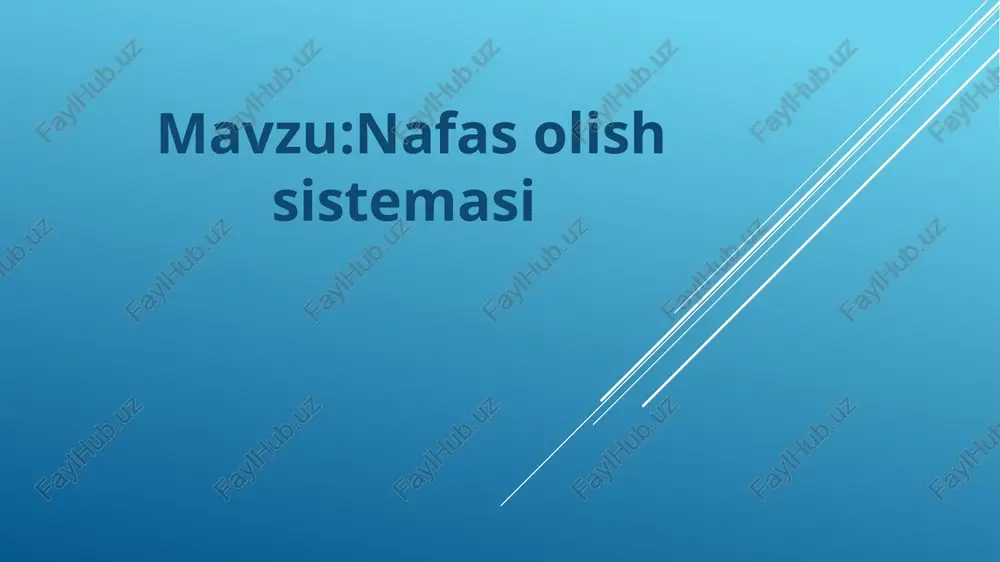 nafas olish sistemasi gistologik tuzilishi — PPTX