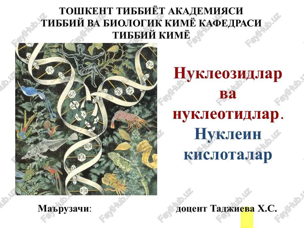 nukleozidlar va nukleotidlar — PDF