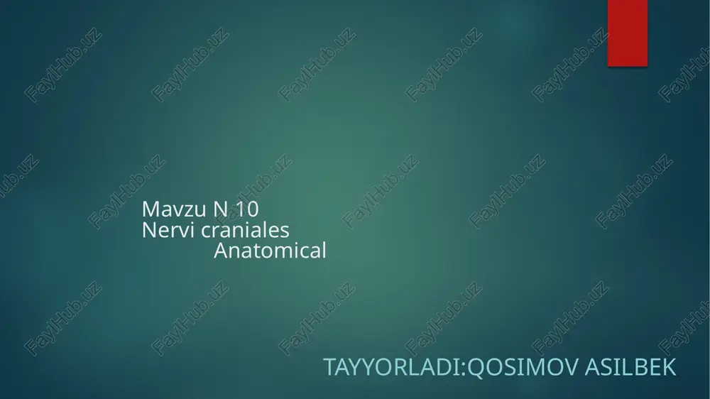 nervicraniales anatomiya — PPTX