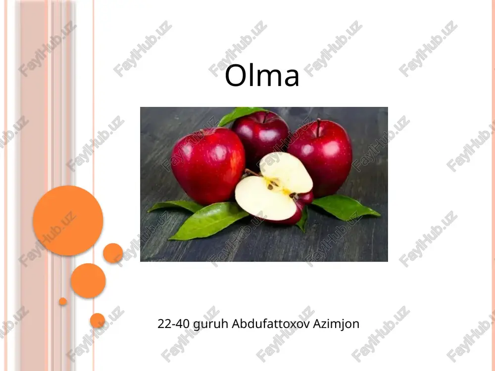 olma — PPTX