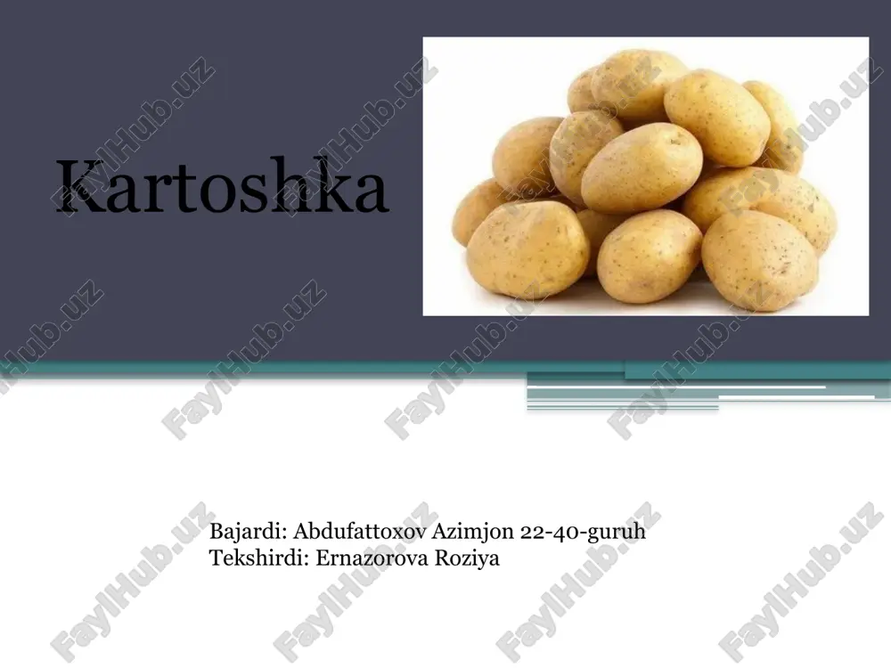 kartoshka — PPTX