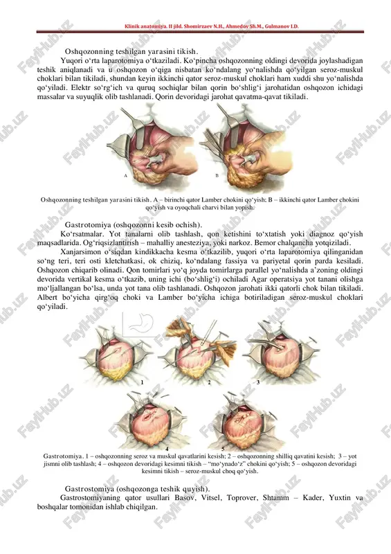 klinik anatomiya. ii jild — PDF