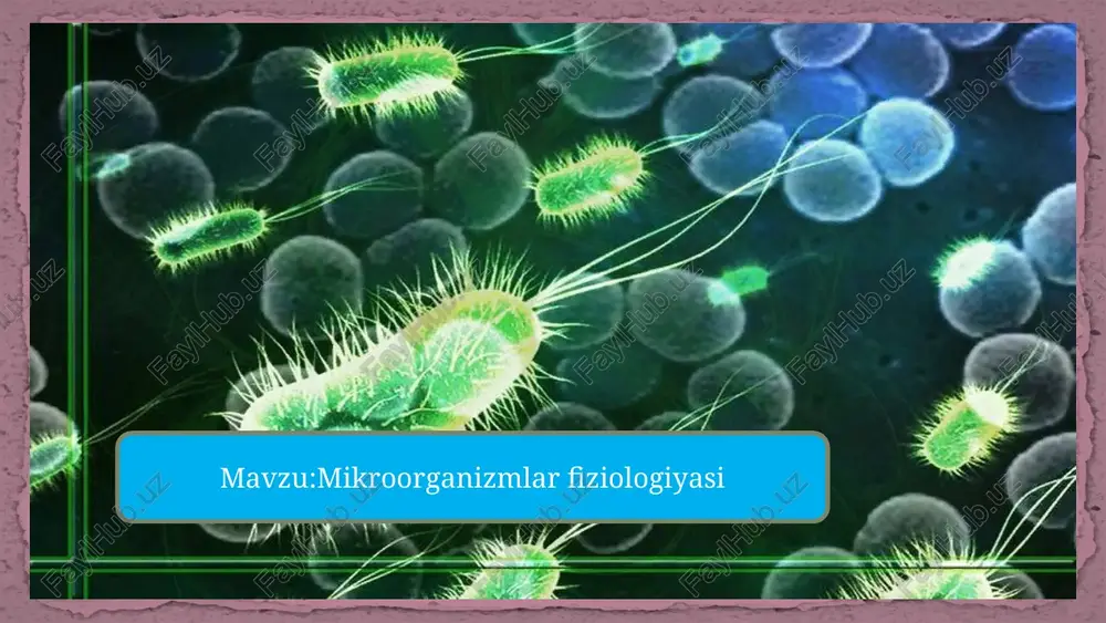 mikroorganizmlar fiziologiyasi — PPTX