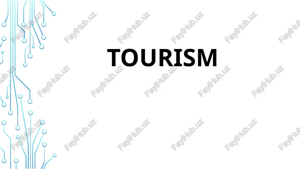 tourism — PPTX