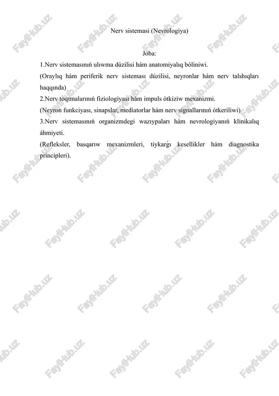nerv sistemasi (nevrologiya) — DOCX