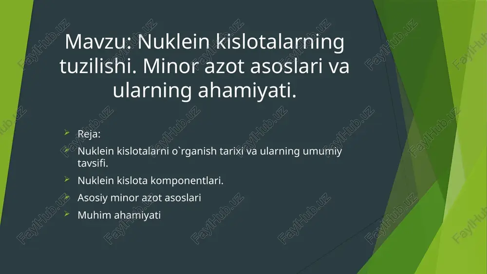 nukleinkislotalarning tuzilishi — PPTX