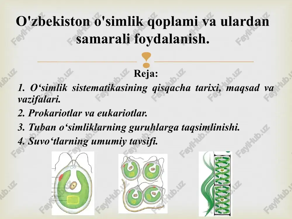o‘simoq sistemasi — PPT