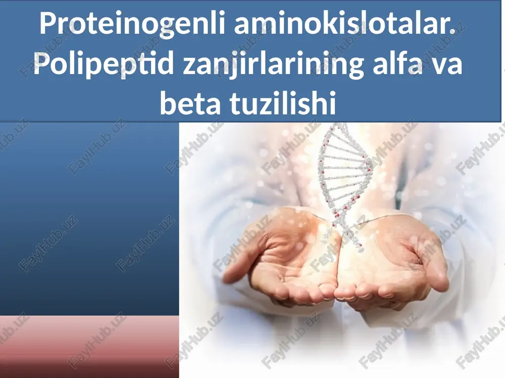 proteinogenliaminokislotalar — PPTX