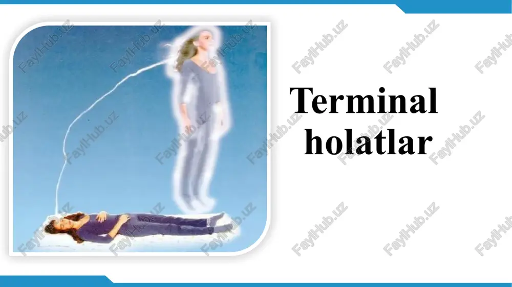 terminalholatlar — PPTX