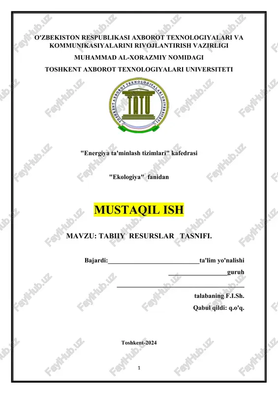 tabiiy resurslar tasnifi — DOCX