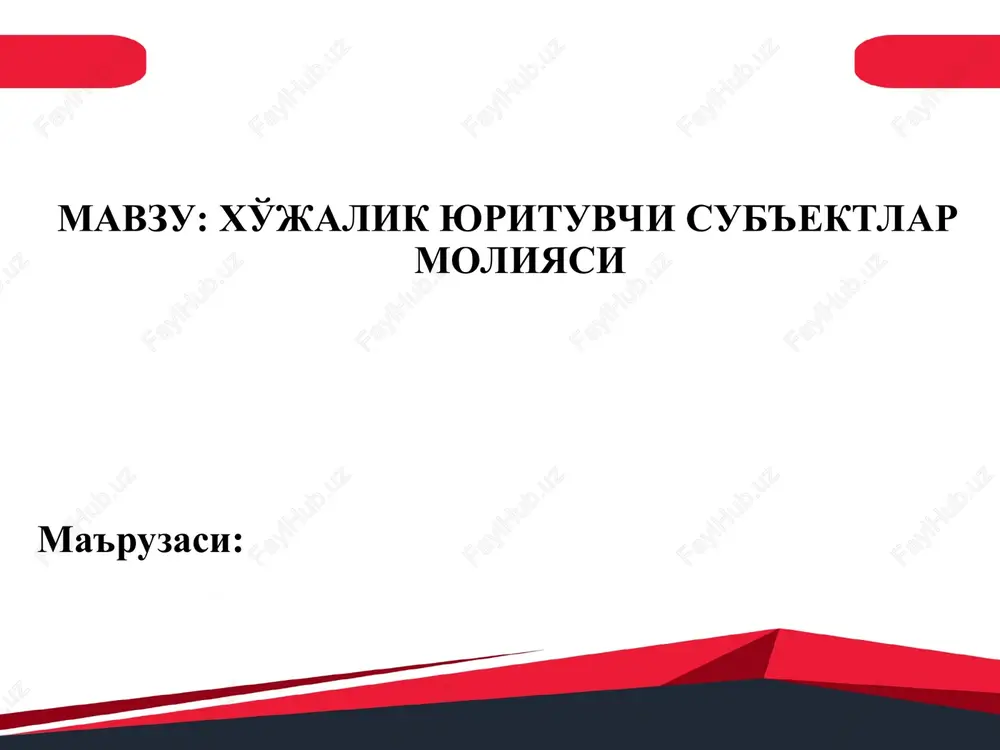 xo'jalik yurituvchi sub'ektlar moliyasi — PPT