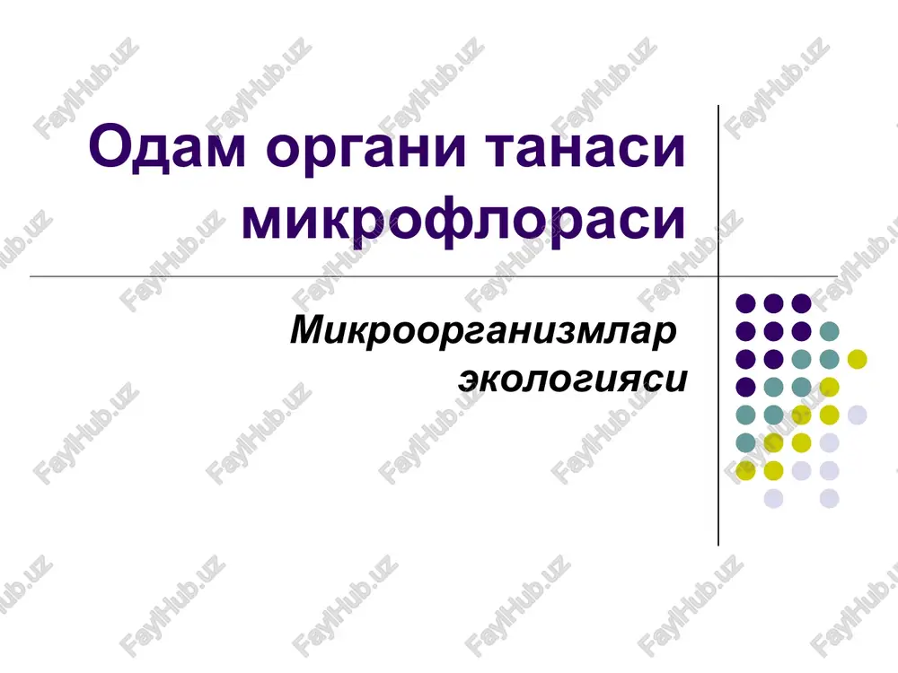odam organi tanasi mikroflorasi — PPT
