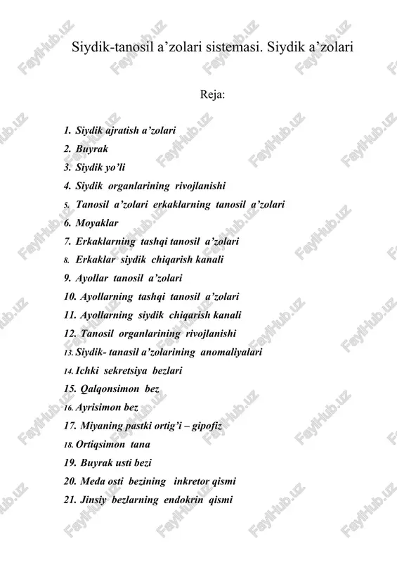 siydik-tanosil a’zolari sistemasi — DOC