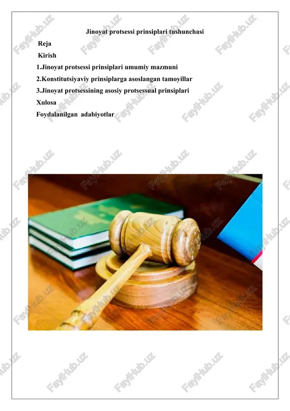 jinoyat protsessi prinsiplari tushunchasi — DOCX