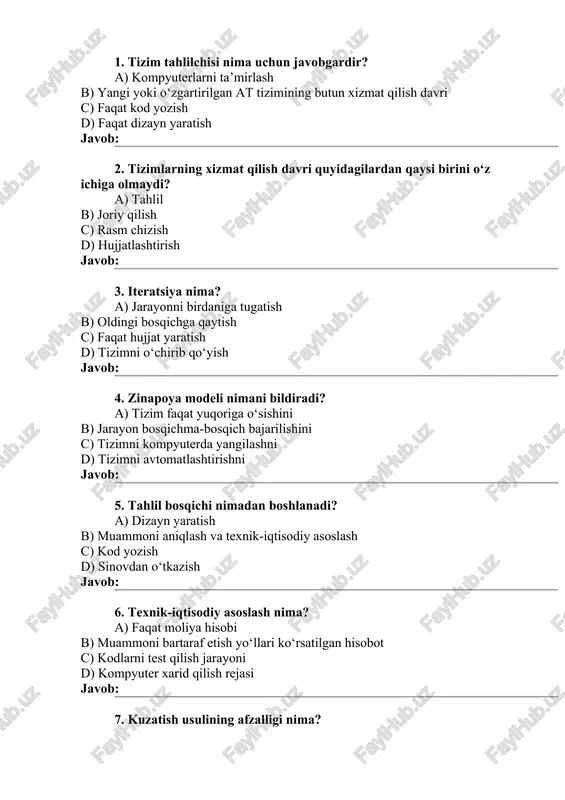 tizim tahlilchisi — DOCX
