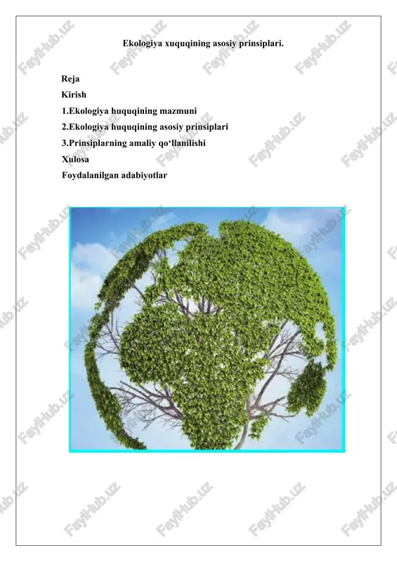 ekologiya huquqining asosiy prinsiplari — DOCX