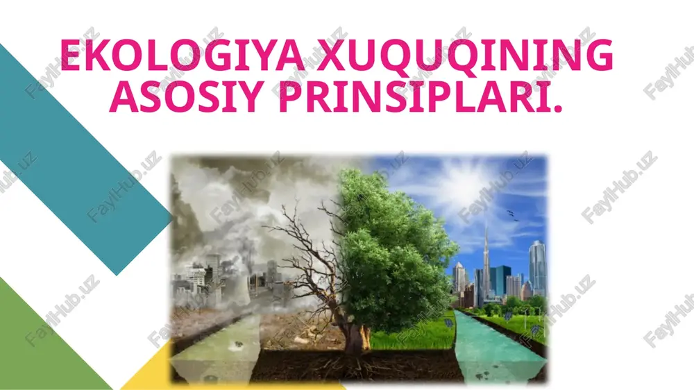 ekologiya xuquqining asosiy prinsiplari — PPTX