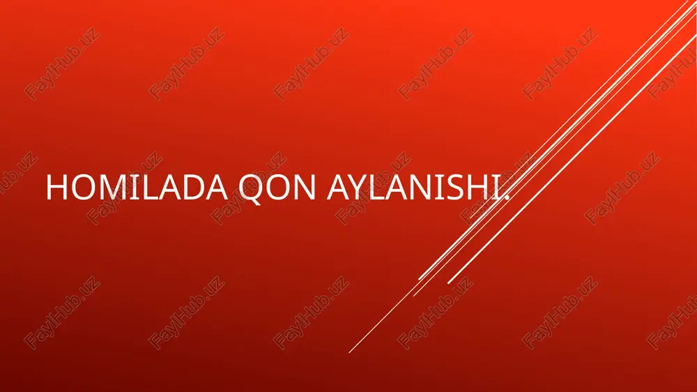 homilada qon aylanishi — PPTX