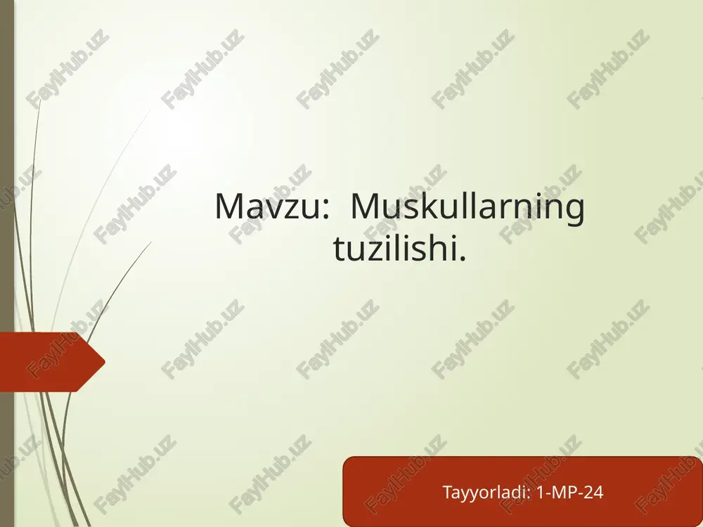 muskullarning tuzilishi — PPTX