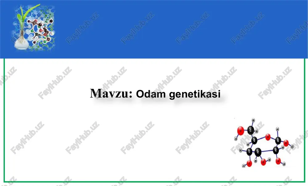 odamgenetikasi — PPTX