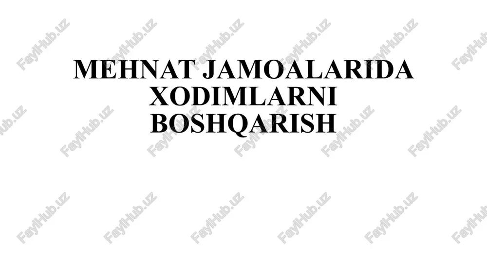 mehnat jamoalaridaxodimlarniboshqarish — PPTX