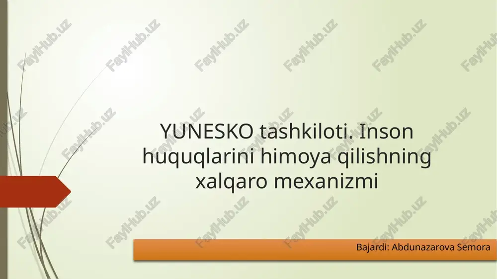 inson huquqlarini himoya qilishning xalqaro mexanizmi — PPTX