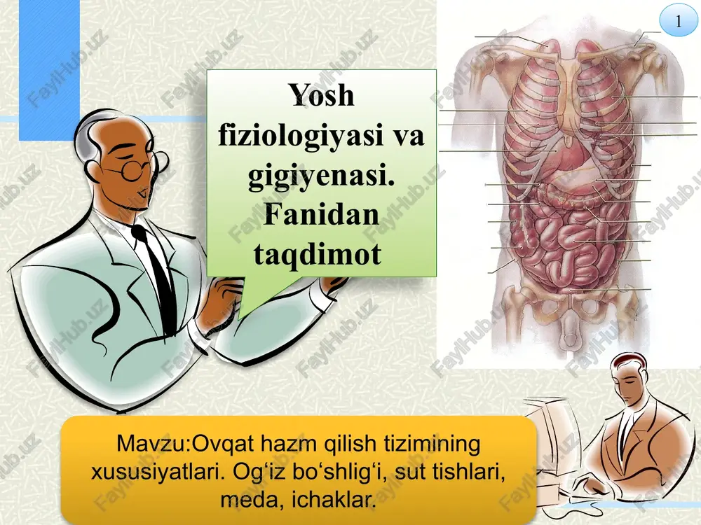 ovqat hazm qilish tizimining xususiyatlari — PPTX