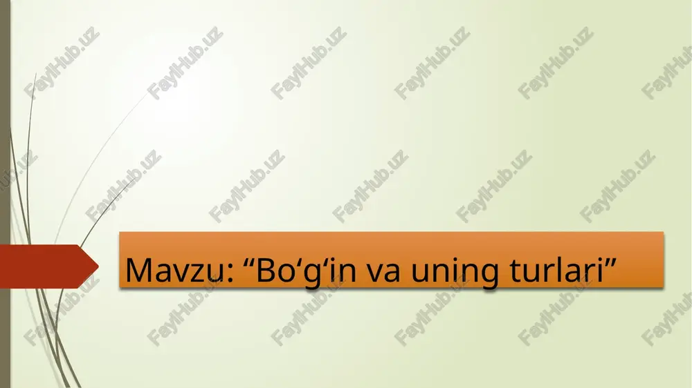 boʻgʻinlar va ularning xususiyatlari — PPTX