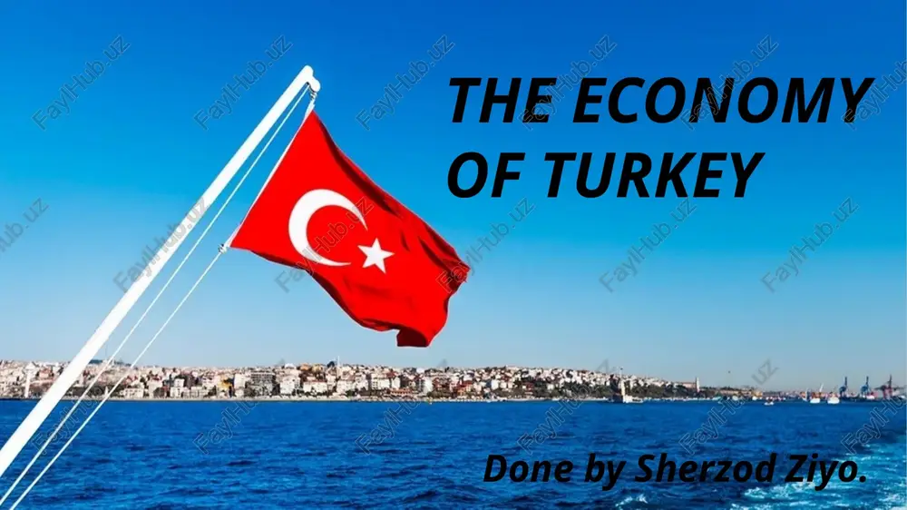 the economy of turkey — PPTX