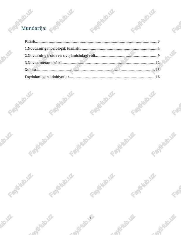 novdaning morfologik tuzilishi — DOCX