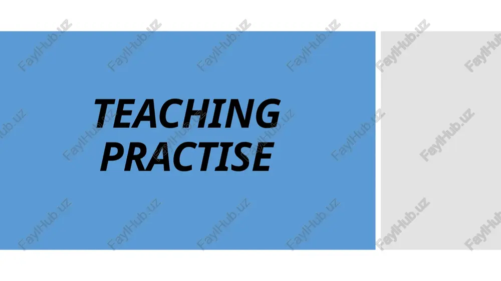 teaching practise — PPTX