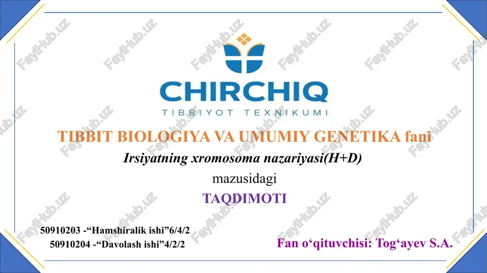 irsiyatning xromosoma nazariyasi — PPTX