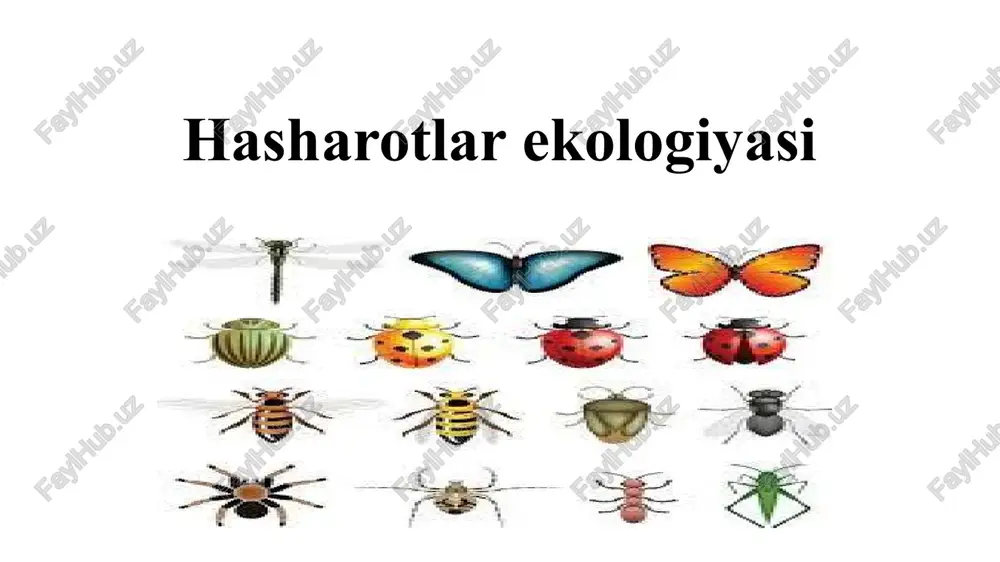hasharotlar ekologiyasi — PPTX