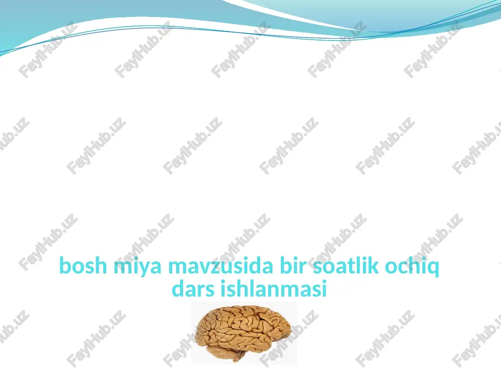 boshmiya — PPTX