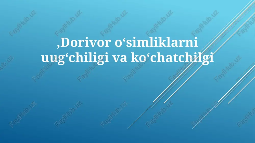 dorivoroʻsimliklarni ugʻchiligi va koʻchatchilgi — PPTX