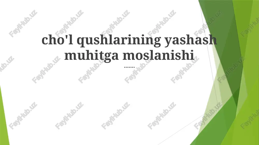 cho'l qushlarining yashash muhitga moslanishi — PPTX