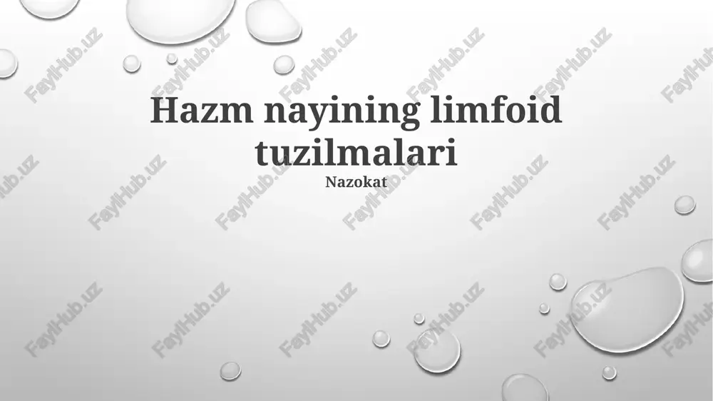 hazm nayining limfoid tuzilmalari — PPTX