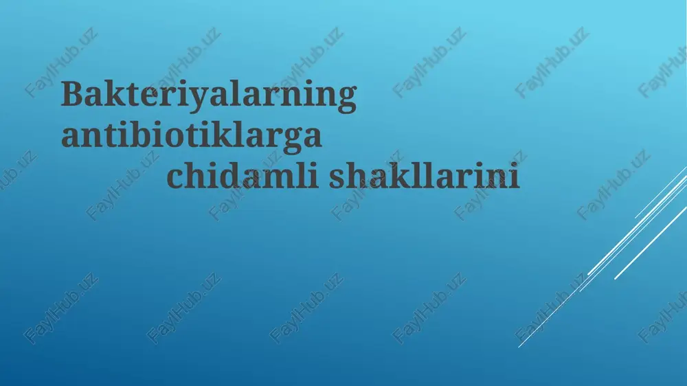 antibiotiklarga chidamli bakteriyalar — PPTX