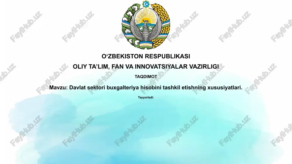 davlat sektoridagi buxgalteriya hisobi — PPTX