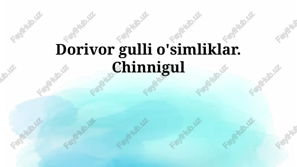 chinnigullar — PPTX