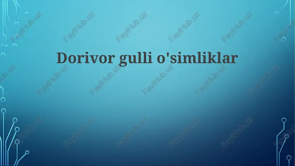 dorivor gulli o'simliklar — PPTX