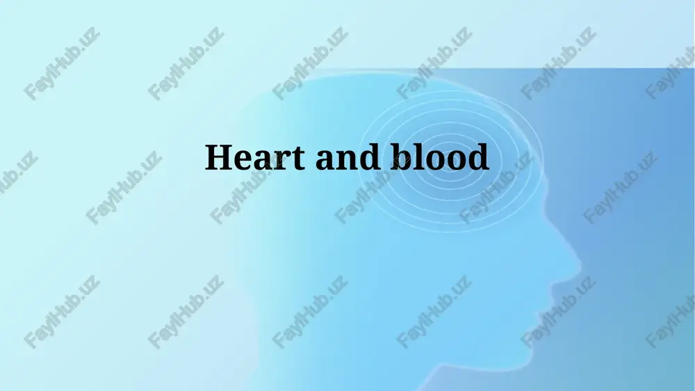 the cardiovascular system — PPTX