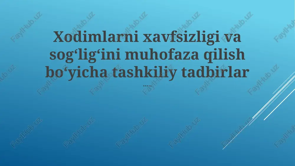 shaxsiy himoya vositalari (shv) — PPTX