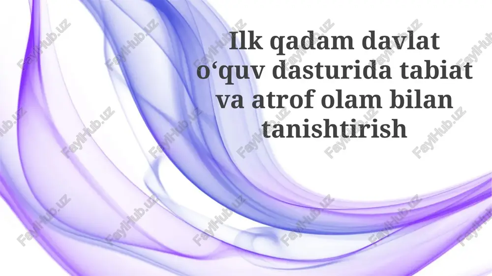ilkqadam davlat oʻquv dasturi — PPTX