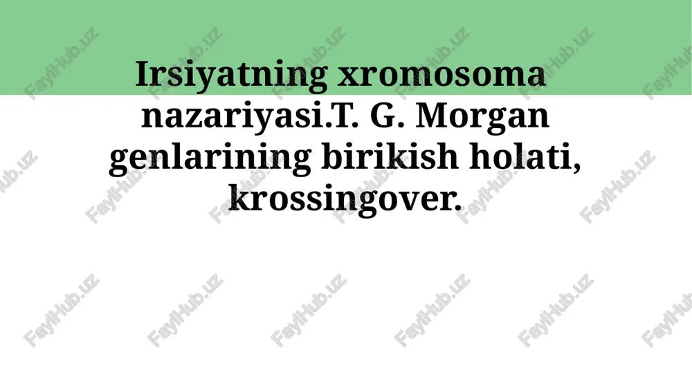 xromosoma meros nazariyasi — PPTX