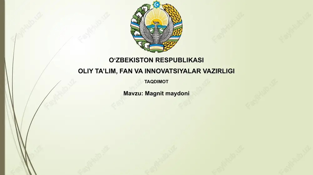magnitmaydoni — PPTX