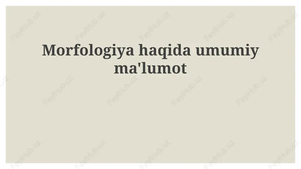 morfologiyahaqidaumumiyma'lumot — PPTX