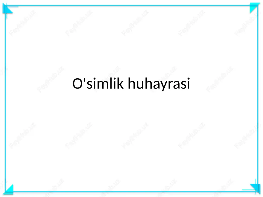 o'simlik huhayrasi — PPTX